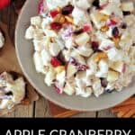 Bowl of Apple Cranberry Salad with chopped apples, cranberries, nuts, and creamy dressing on a wooden table, next to apple slices and crackers. Text reads "Apple Cranberry Salad." A refreshing mix perfect for any meal.
