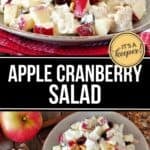 A bowl and plate of Apple Cranberry Salad with red apples, cranberries, walnuts, and creamy dressing sit on a rustic wooden table, surrounded by fresh apples in the background.