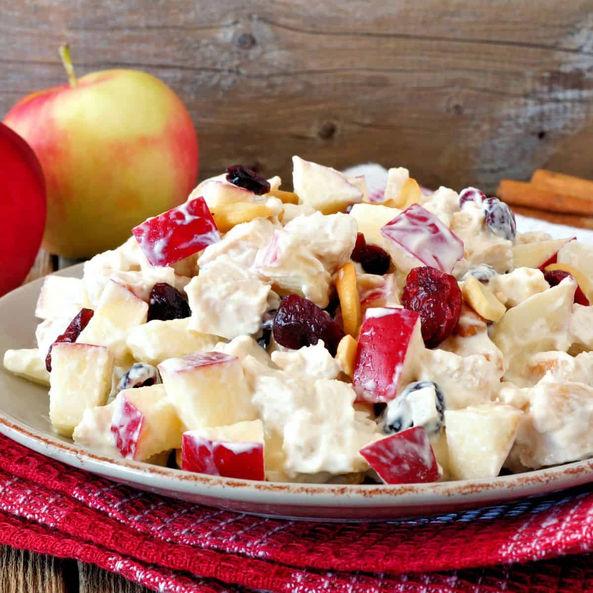 A plate of Apple Cranberry Salad with chopped apples, grapes, cranberries, nuts, and creamy dressing. An apple and a cinnamon stick are in the background.