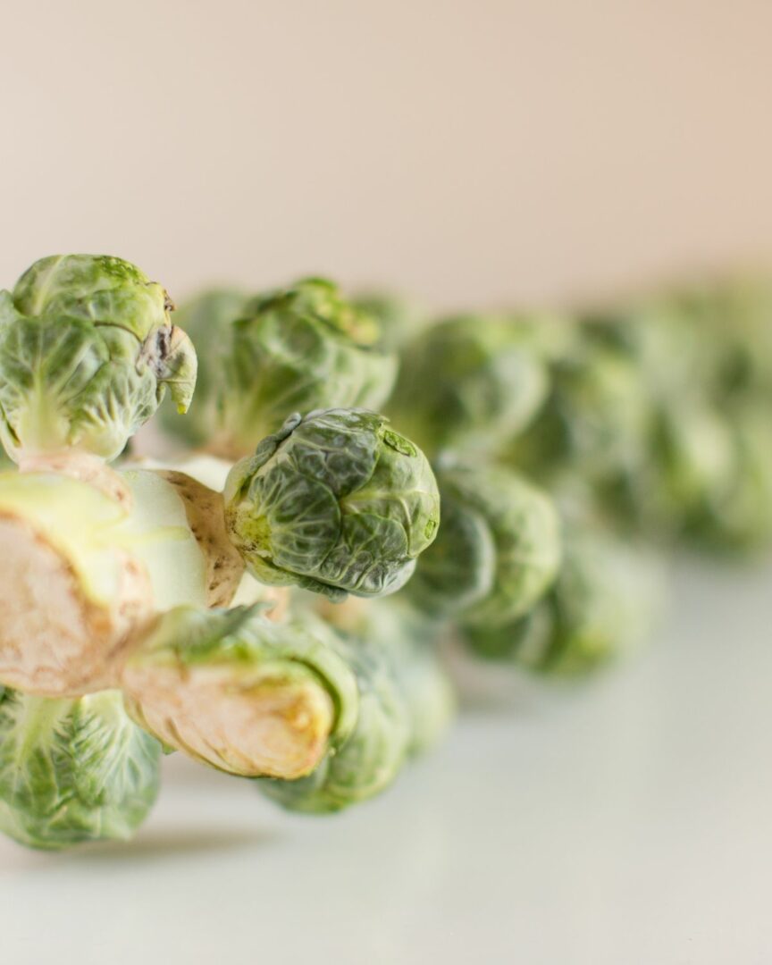 The stalk of brussel sprouts.