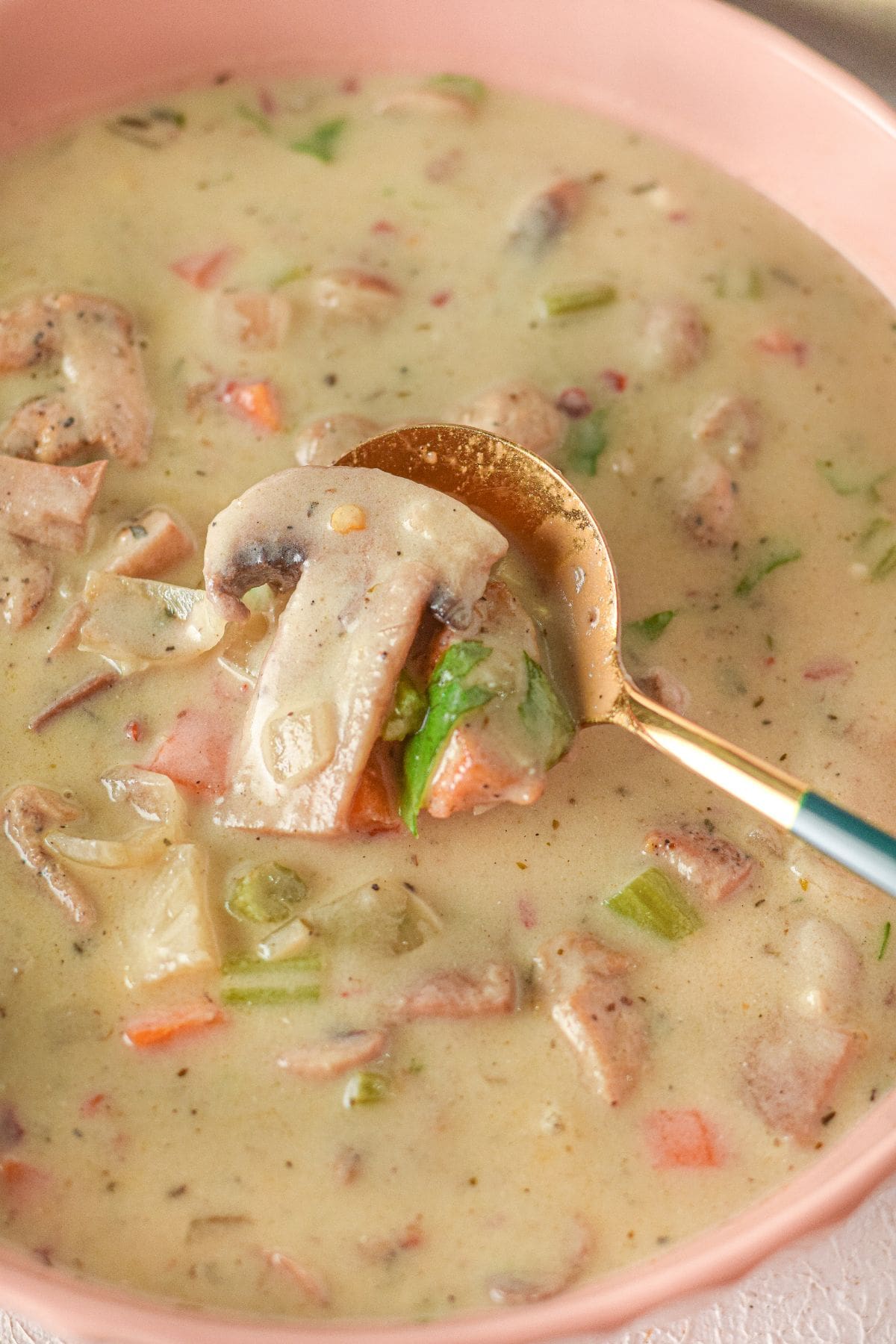 A spoonful of creamy chicken mushroom soup with visible slices of mushrooms, tender chicken, vegetables, and herbs in a pink bowl.