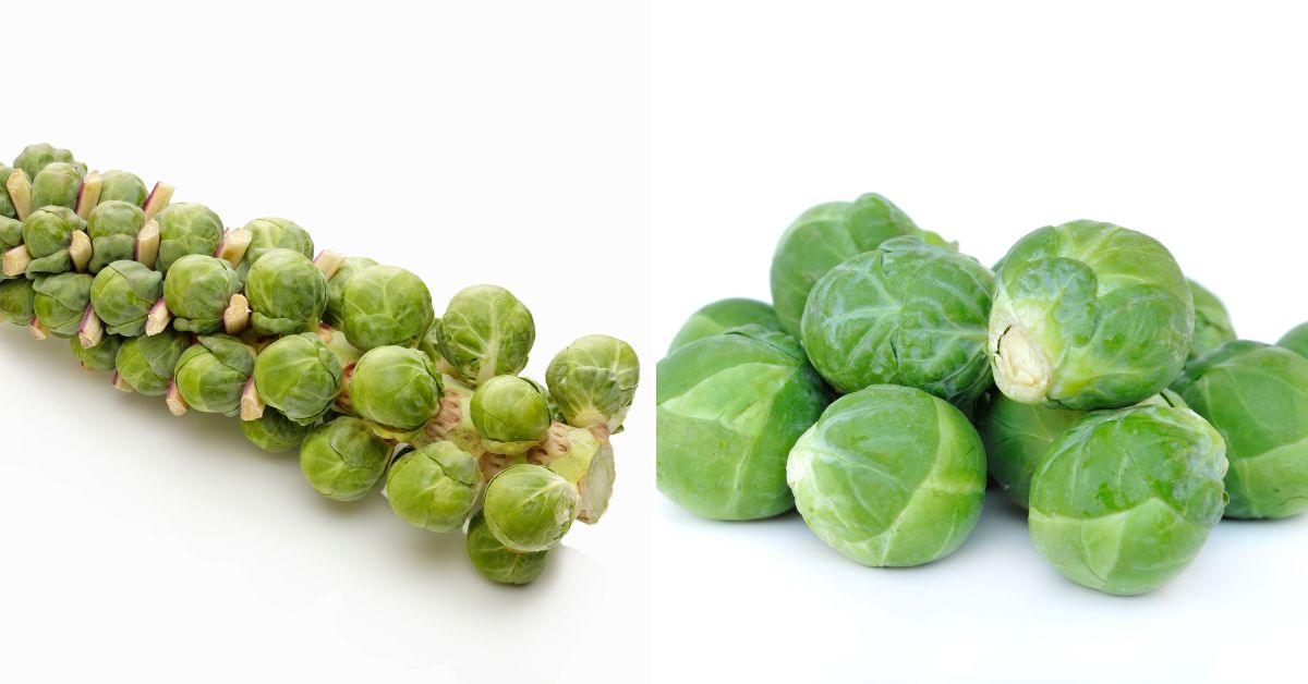 Sprouts on a stalk and cut to freeze.