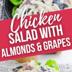 A side view and top shot of the chicken salad with almonds and grapes.