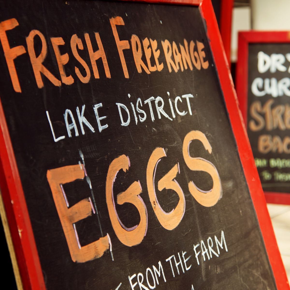 A sign for fresh eggs.