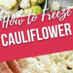 Learn how to freeze cauliflower with these helpful steps. It's a simple and cost-effective way of preserving this nutritious vegetable. You'll be able to store your cauliflower for weeks and months with ease!