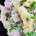 A close up on the creamy main dish.