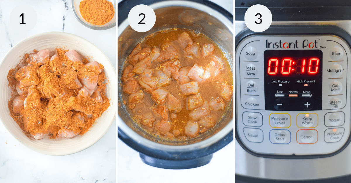 Seasoning the chicken and placing in the instant pot to prepare it for cooking.