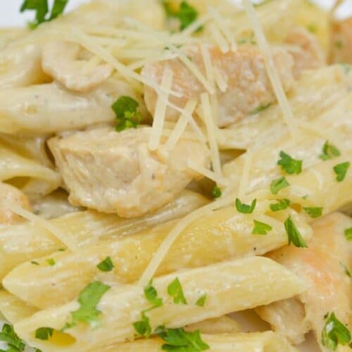 Penne pasta with chunks of chicken gorgonzola in a creamy sauce, topped with shredded cheese and chopped parsley, served on a white plate.