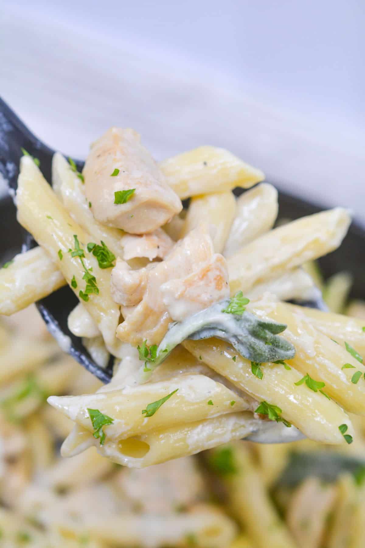 A close-up of a fork holding penne pasta with creamy Chicken Gorgonzola sauce, tender chicken pieces, and a parsley garnish.