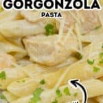 Close-up of creamy Chicken Gorgonzola pasta with penne, tender chunks of chicken, grated cheese, and fresh parsley, with bold text labeling the dish.