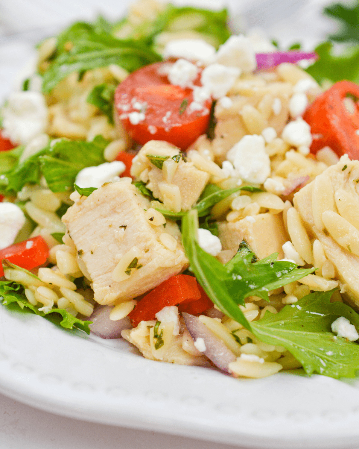 A close up on the orzo chicken salad with tender greens.