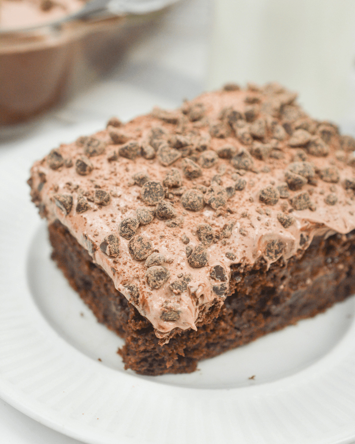 A square of chocolate cake with chocolate chips on top.