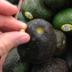 A hand picking off the stem of an avacado in a group.