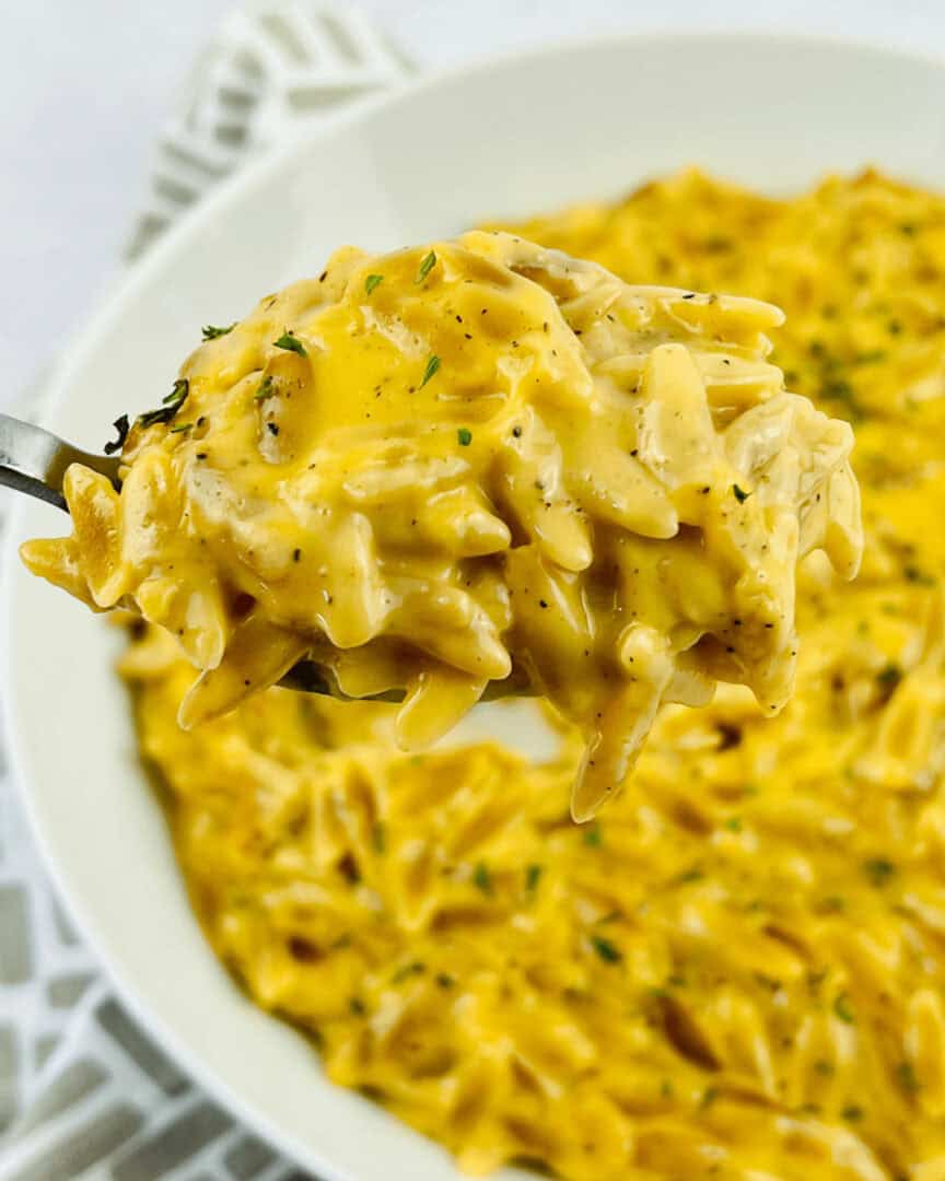 A plate with the orzo mac and cheese on it.