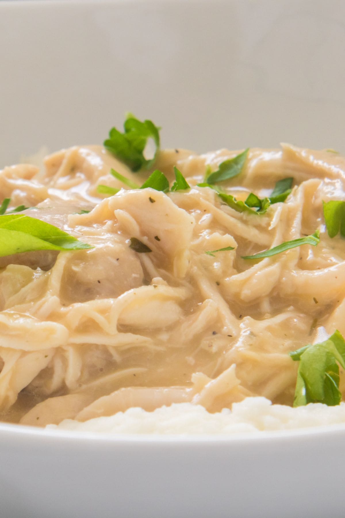 A close-up shows tender shredded chicken in creamy gravy, garnished with chopped parsley, served over a bed of mashed potatoes.