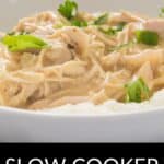 A bowl of shredded chicken and gravy garnished with parsley, served over rice. Text at the bottom reads "Slow Cooker Chicken and Gravy.