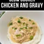 Tender shredded Chicken and Gravy slow-cooked to perfection, served over creamy mashed potatoes and topped with fresh parsley in a white bowl.
