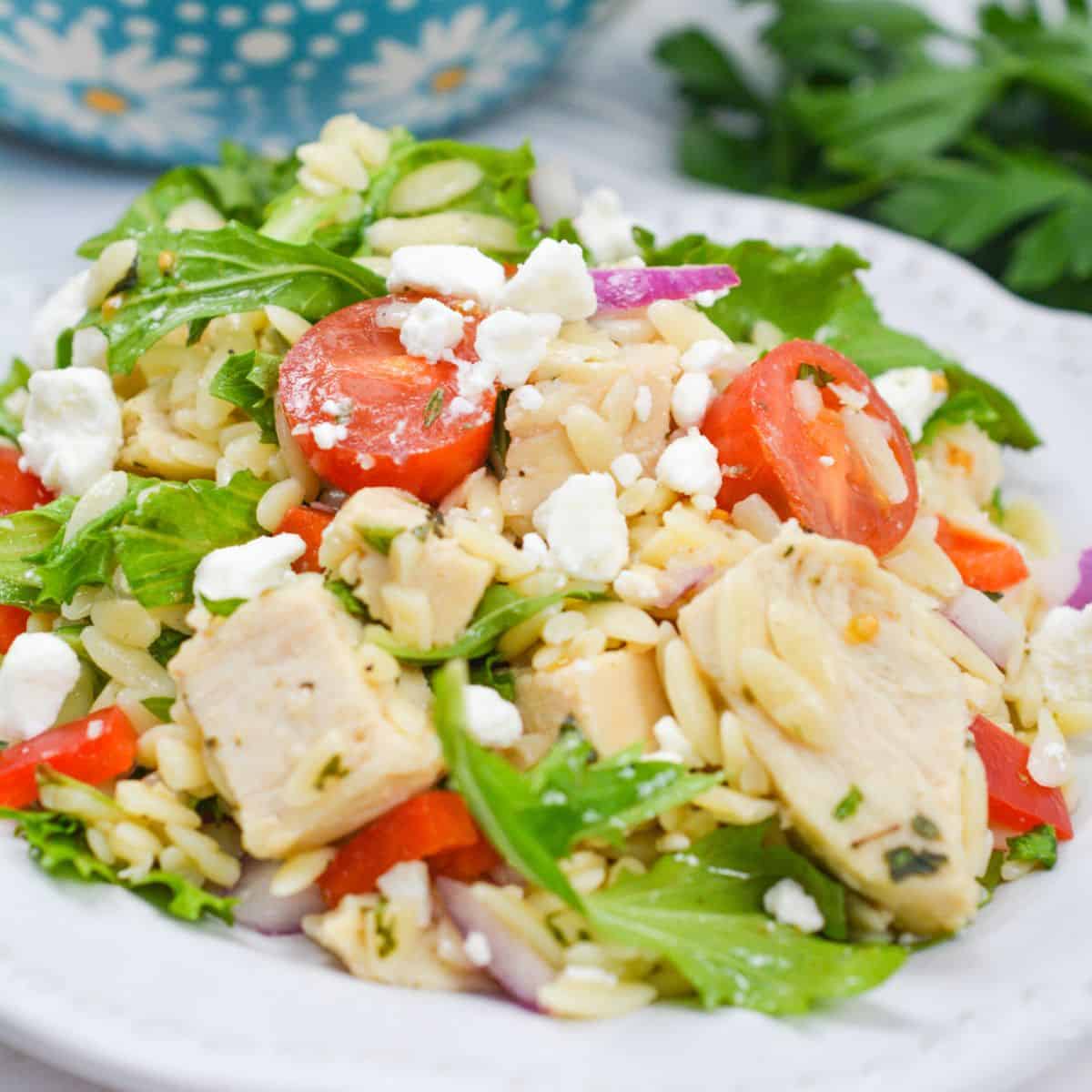 This Chicken Orzo Pasta Salad Is a Summer Must-Have