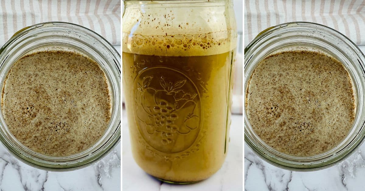 Three views of a glass jar containing a brown, frothy with a layer of foam and specks on the surface, placed on a marble countertop.