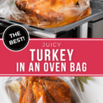 Two views of the turkey in the bag.