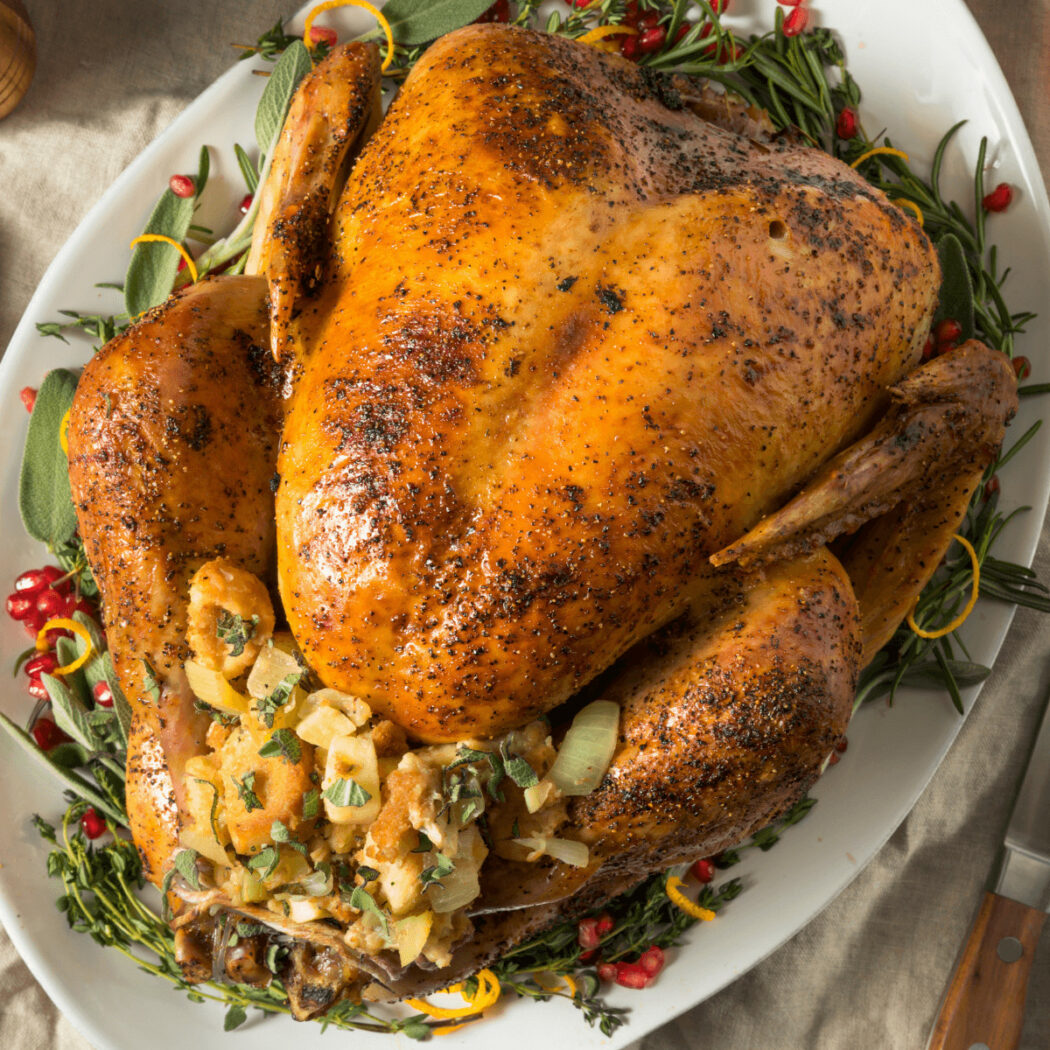 Turkey in the Roaster Oven