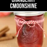 A mason jar filled with vibrant Cranberry Moonshine, sealed with a metal lid and tied with red and white string; cinnamon sticks rest in the background.