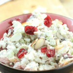 A close up bowl of the turkey salad.