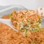 A spoon of the side dish.