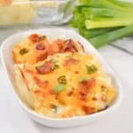 The finished shide dish.