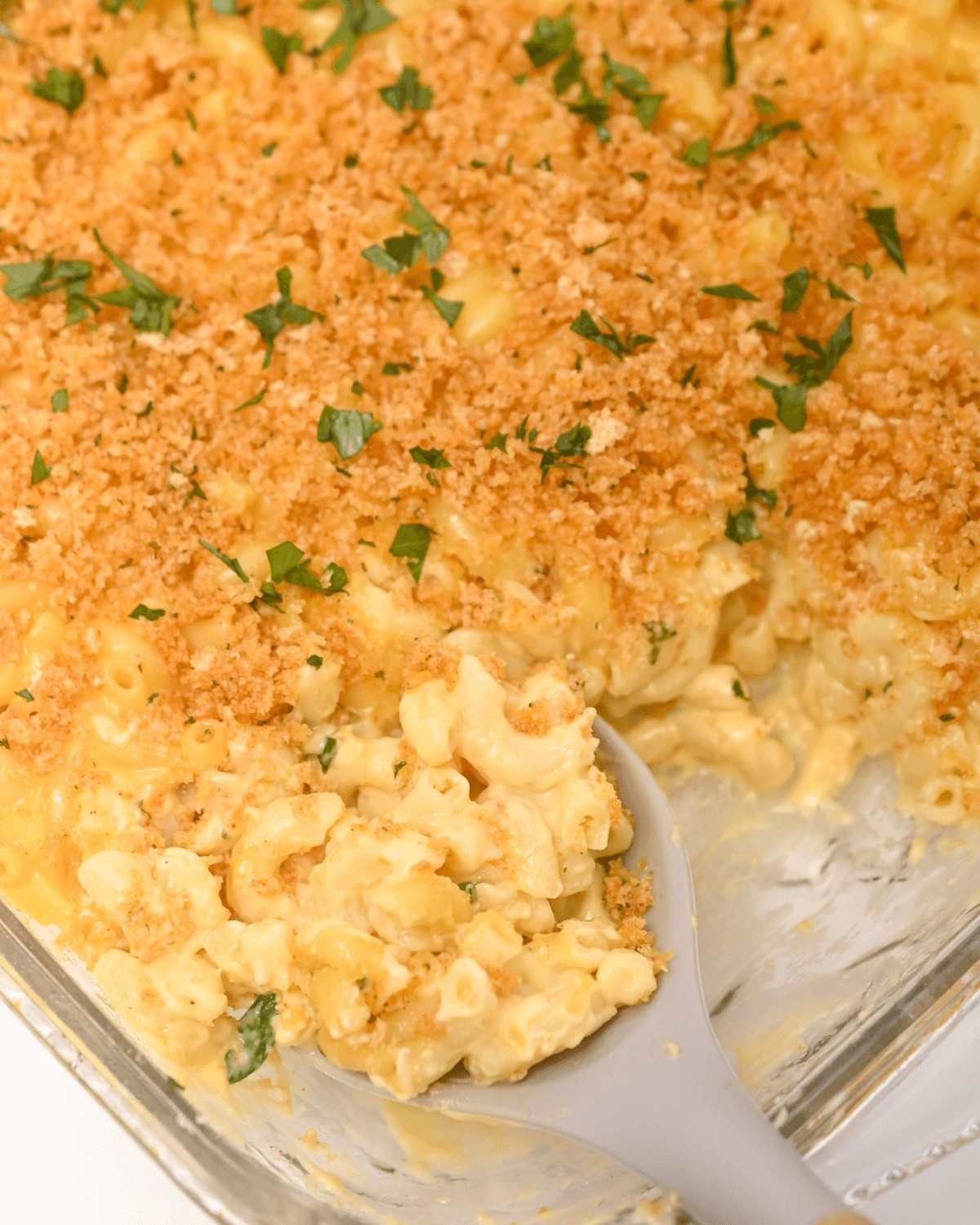 A baking dish sprinkled with fresh herbs filled with velveeta mac and cheese.