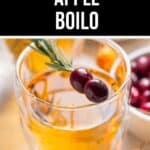 A glass of boilo garnished with cranberries and a rosemary sprig, with a bowl of cranberries in the background.