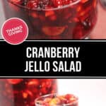 A bowl and serving of the cranberry jello salad.