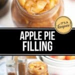 A jar filled with homemade apple pie filling; a spoonful of delicious Homemade Apple Pie Filling held above. Surrounding apples, cinnamon sticks, and spices complete the cozy scene. Text reads: "Apple Pie Filling.