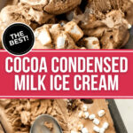 The delicious cocoa condensed milk ice cream.
