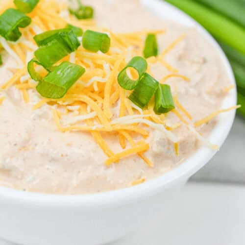 A creamy boat dip topped with cheese and flavorful green onions.