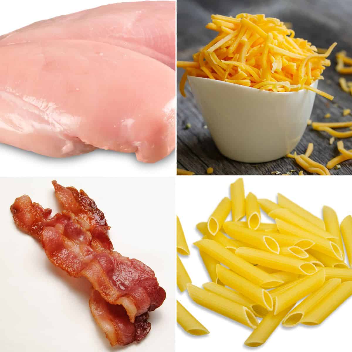 Pasta, bacon, chicken and cheese.