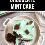 A slice of chocolate mint cake on a plate with the text "chocolate mint cake" above it.