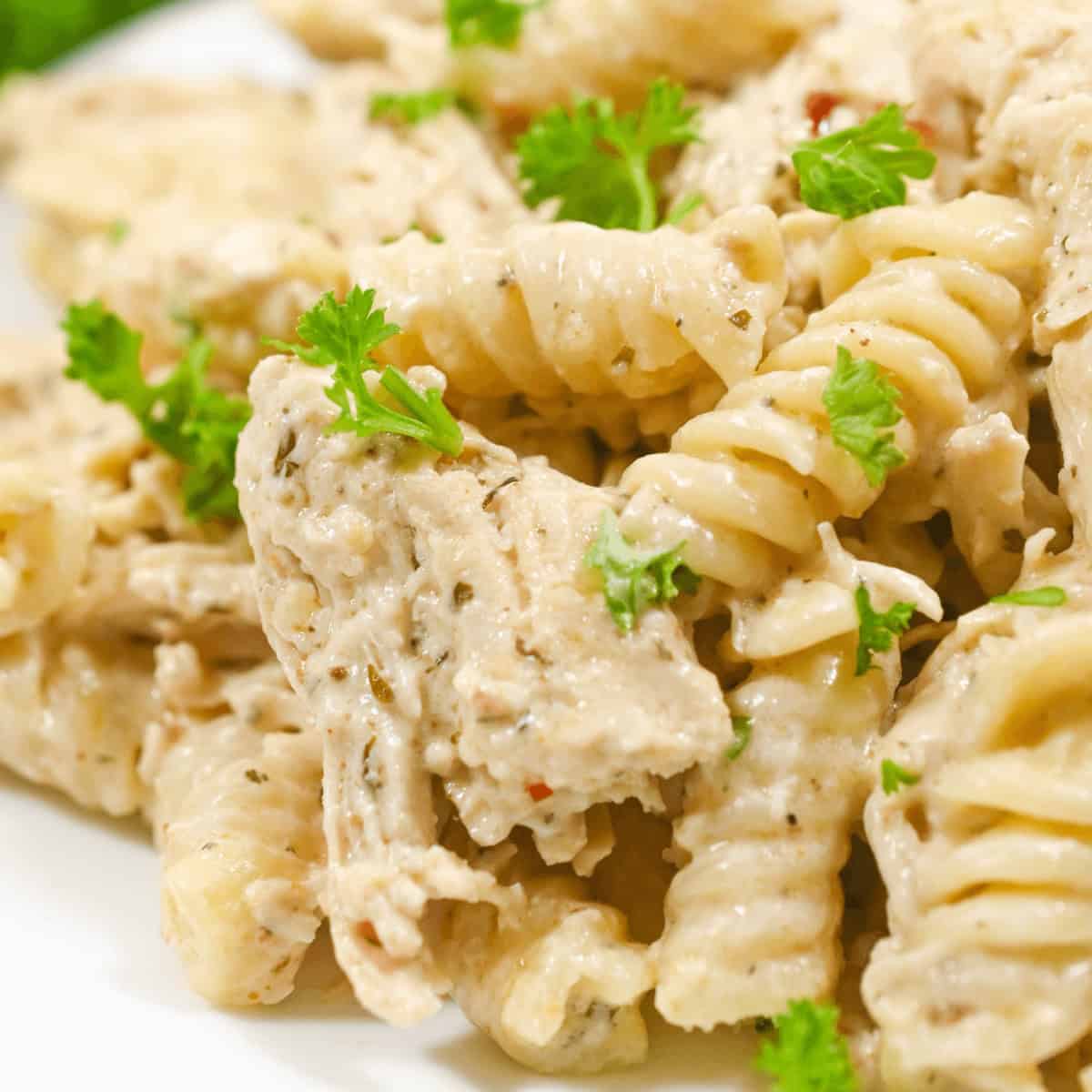 Crock Pot Garlic Parmesan Chicken