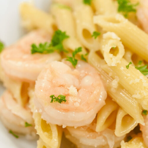 Garlic parmesan shrimp pasta on a white plate.