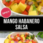 A bowl of mango habanero salsa with chopped ingredients.