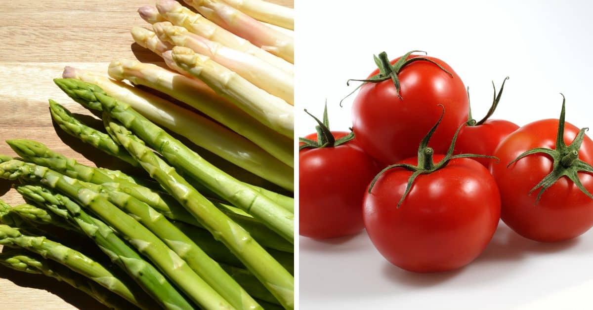 Green and white asparagus spears, perfect for a Cold Asparagus Salad, are arranged on a wooden surface beside a group of red tomatoes on a white background.