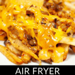 A plate of animal fries crafted in an air fryer, featuring melted cheese and caramelized onions over crispy french fries.