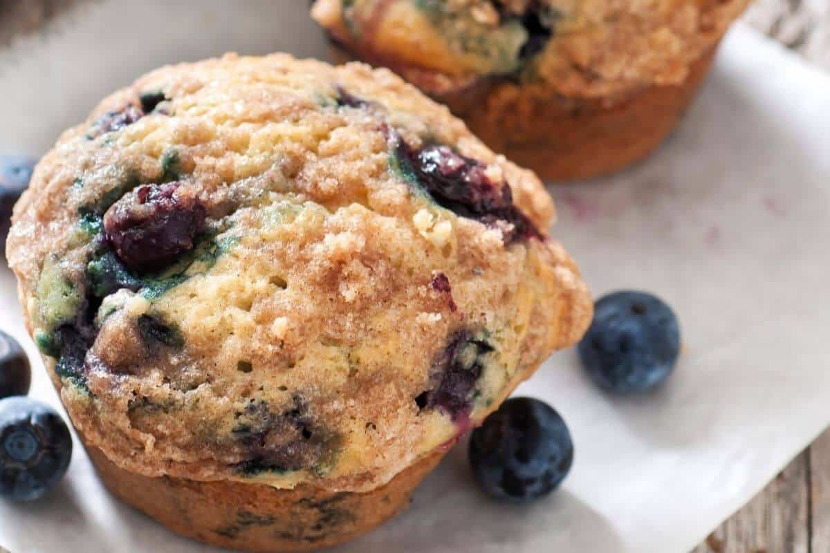 Blueberry muffins on a white plate with extra blueberries. 