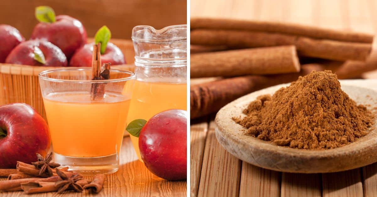 A split image showcases a glass of Apple Cider Slush with whole apples, a pitcher, and cinnamon sticks on the left, while on the right, a wooden bowl of ground cinnamon accompanied by whole cinnamon sticks adds a rustic touch.