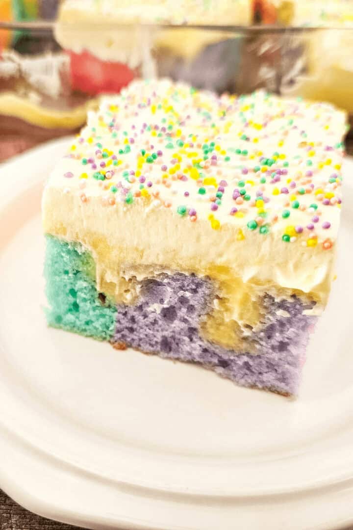 A square of rainbow pudding cakes.