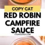 A jar of creamy orange dipping sauce, labeled as Red Robin Campfire Sauce, with a hand dipping a French fry—your perfect copycat for that signature smoky flavor.