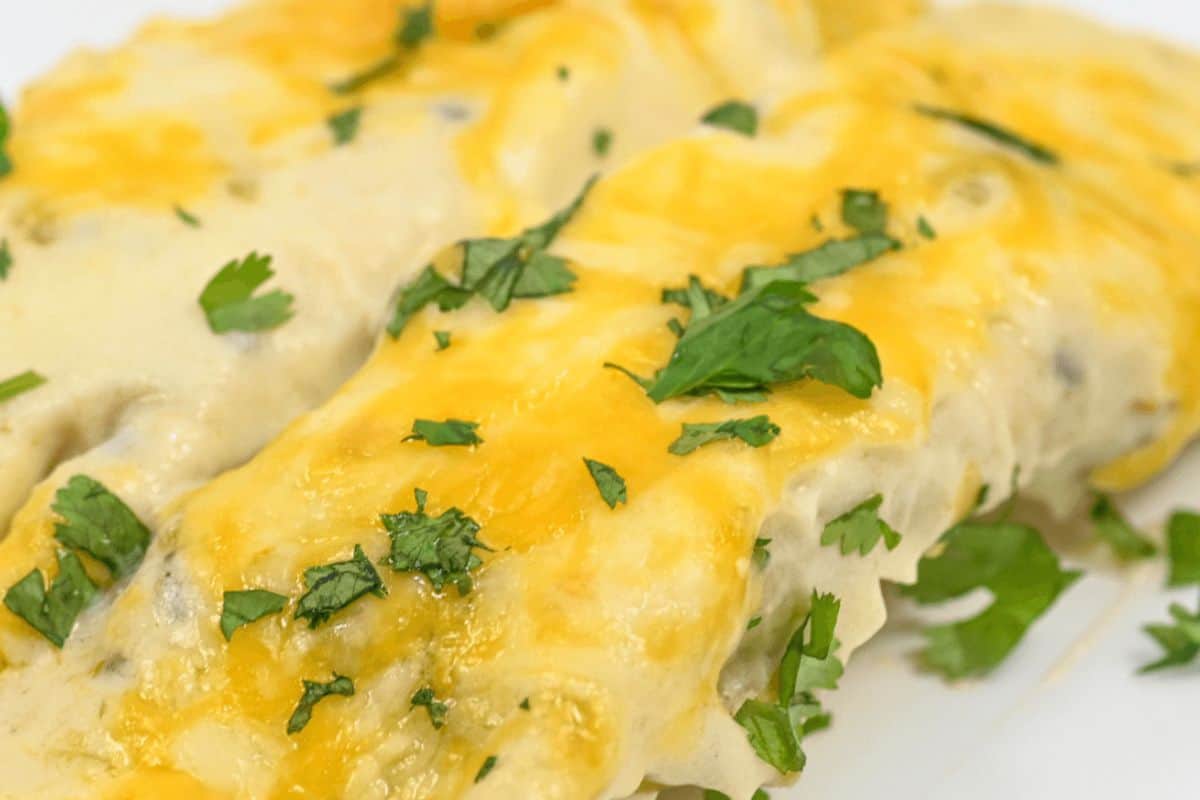 Two sour cream chicken enchiladas with greens on top. 