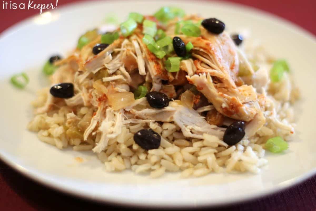 On a white plate, there is a mound of rice, chicken, black beans and onions topped with chopped green onions. The chicken is shredded and topped with a red taco seasoning. 