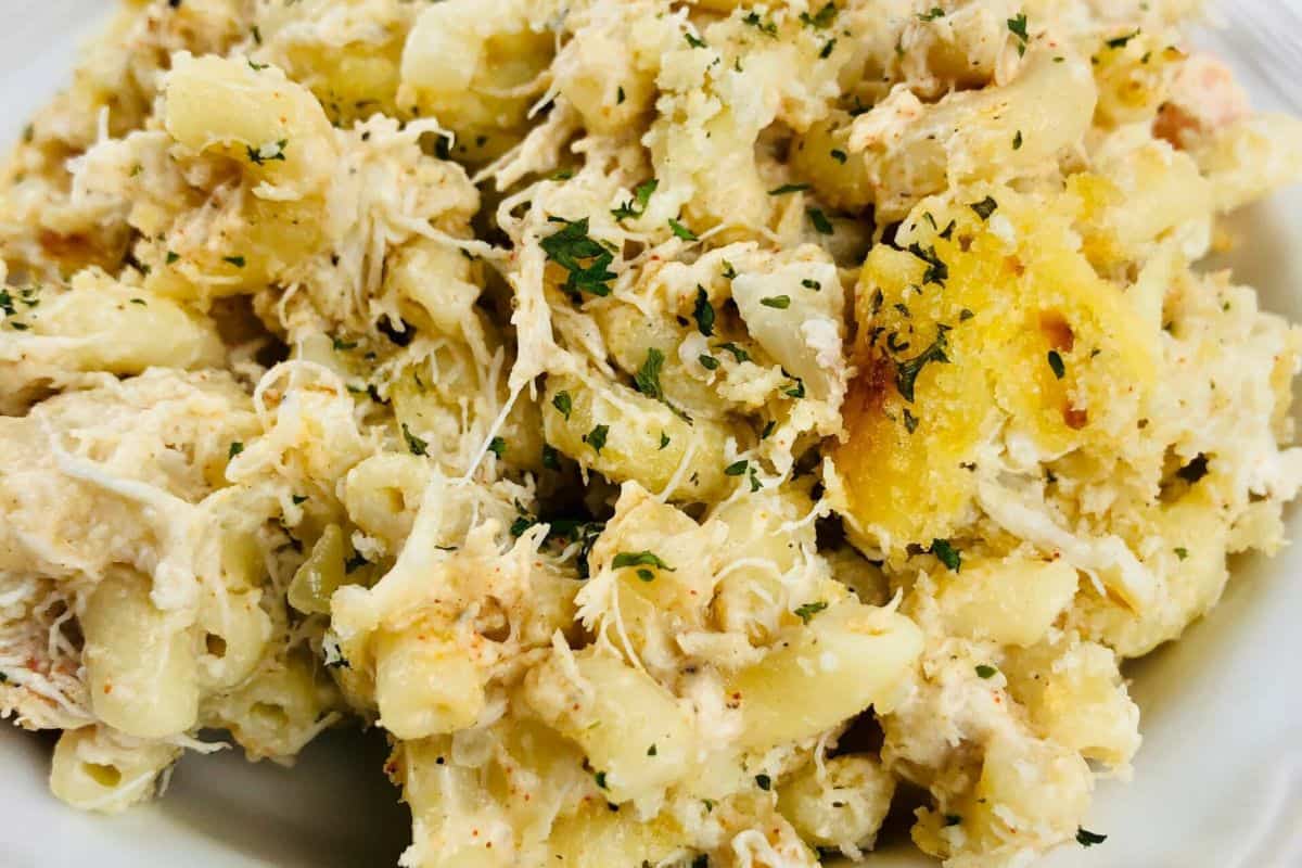 On a white plate, there is a combination of macaroni pieces covered with cheese. There are visible bits of paprika and a crust of breadcrumbs topped with bits of parsley. 