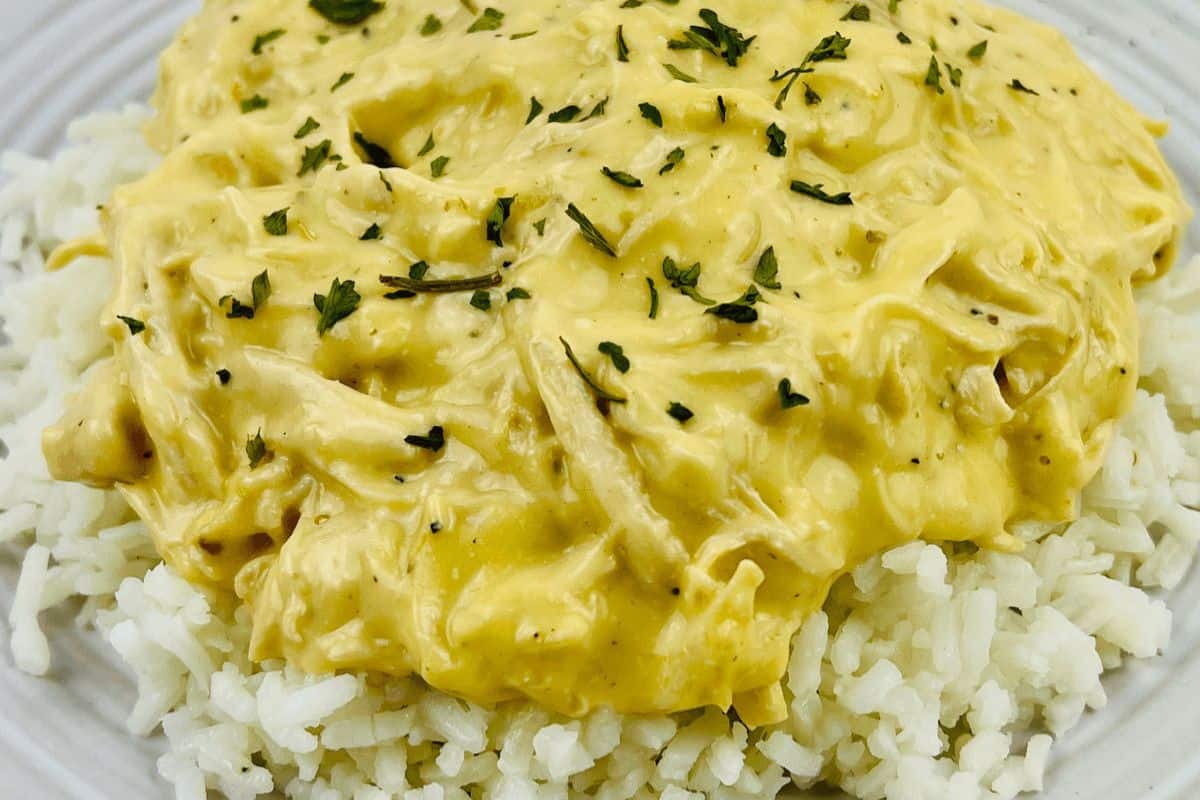 On a white place there is a small mound of white rice which is topped with shredded chicken covered in a creamy yellow sauce. 